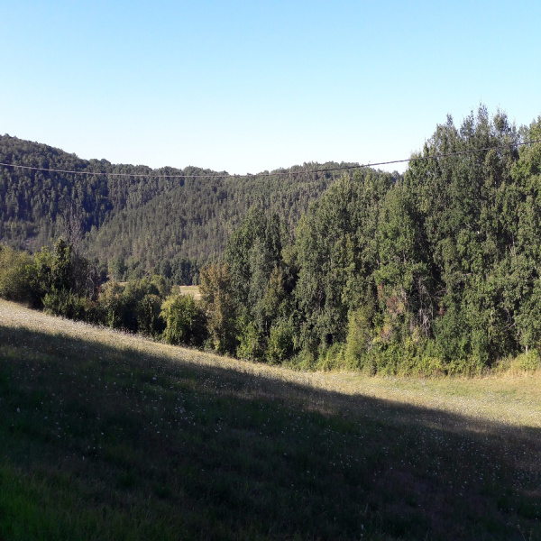 Offres de vente Terrain Saint-Germain-de-Belvès 24170