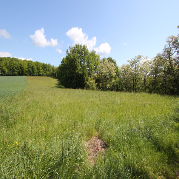 Offres de vente Terrain Le Buisson-de-Cadouin 24480