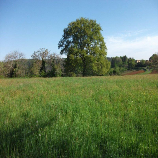 Offres de vente Terrain Saint-Caprais 46250